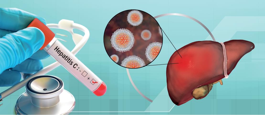 C 09.03.26г. по 15.03.26г в России проходит «Неделя по борьбе  заражением и распространением вирусного гепатита С»
